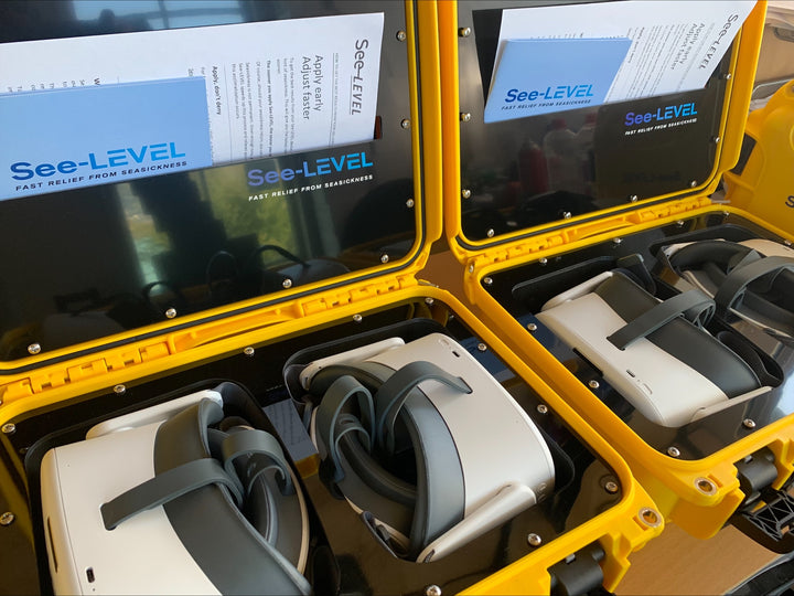 See-Level-Breakthrough VR Seasickness Solution